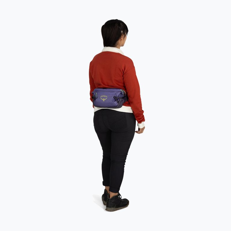 Osprey Transporter Waist Pack 3 l euphoria kidney pouch 9