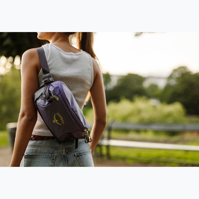 Osprey Transporter Waist Pack 3 l euphoria kidney pouch 13