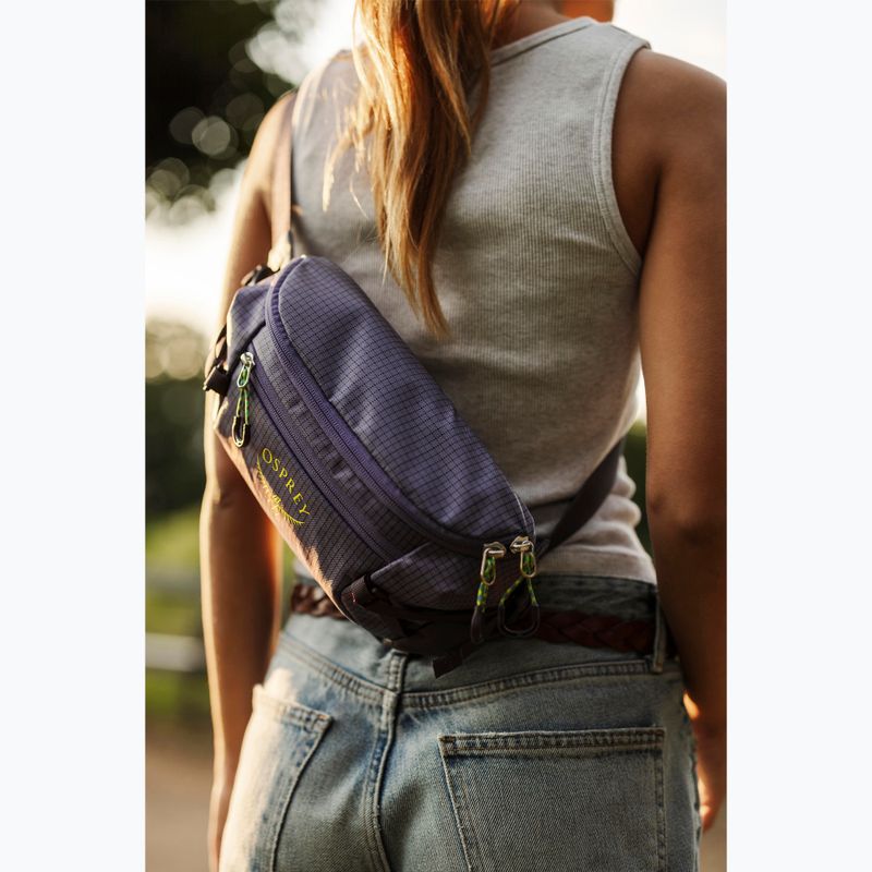 Osprey Transporter Waist Pack 3 l euphoria kidney pouch 14