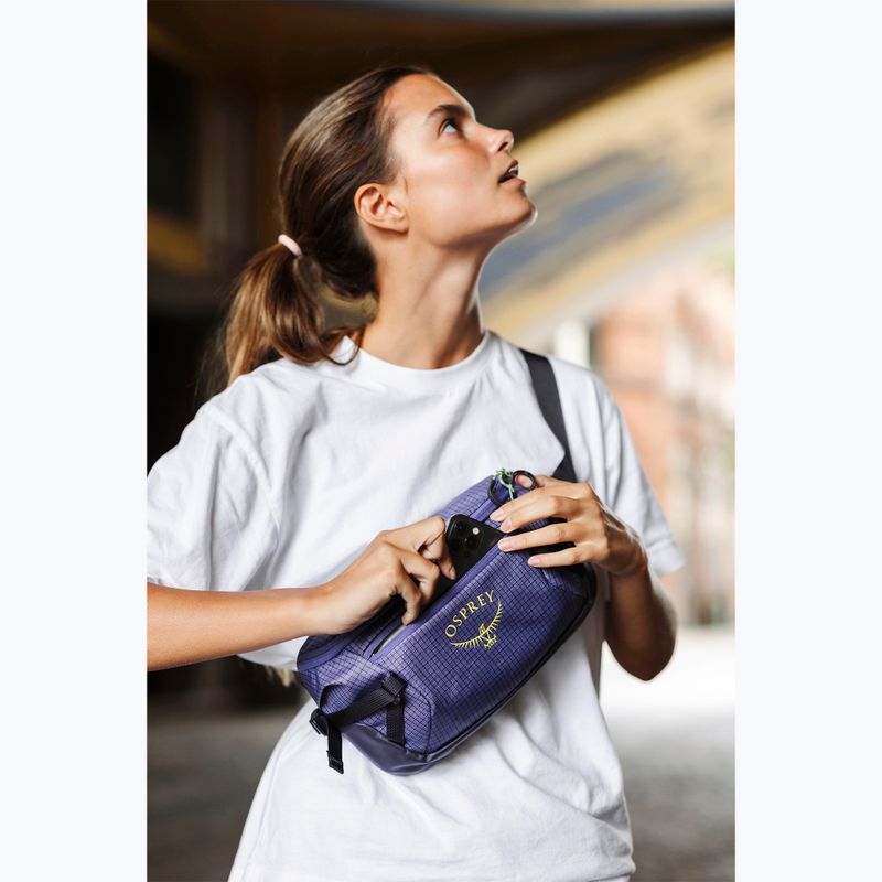 Osprey Transporter Waist Pack 3 l euphoria kidney pouch 15