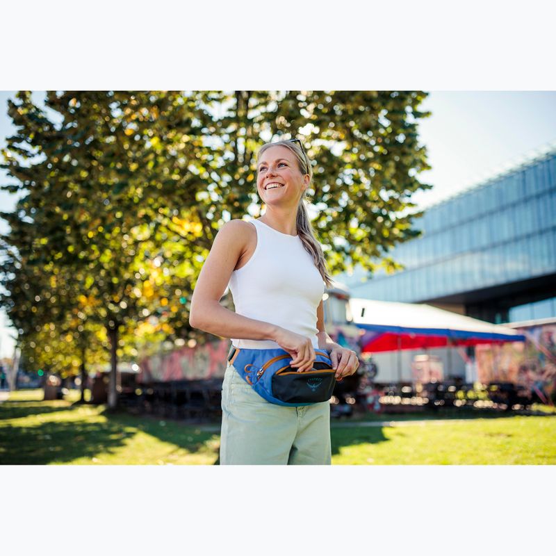 Osprey Daylite Waist Earth 2 l dark charcoal/blue flame kidney pouch 13