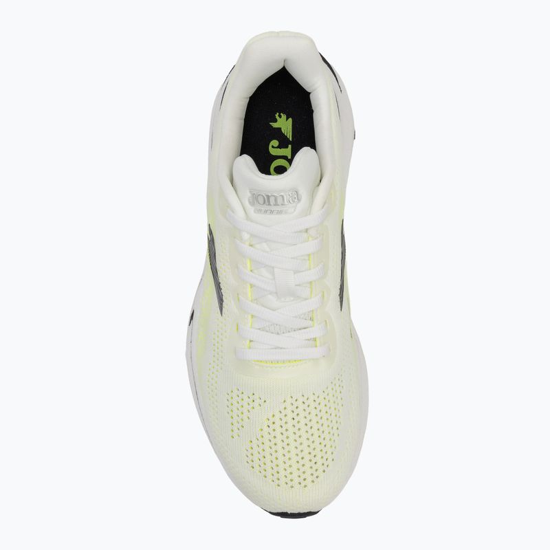Men's running shoes Joma Viper white 5