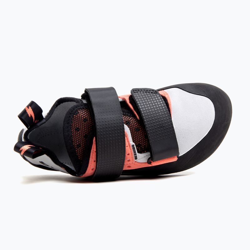 Women's Evolv Geshido 6280 climbing shoes black and white 66-0000062112 14