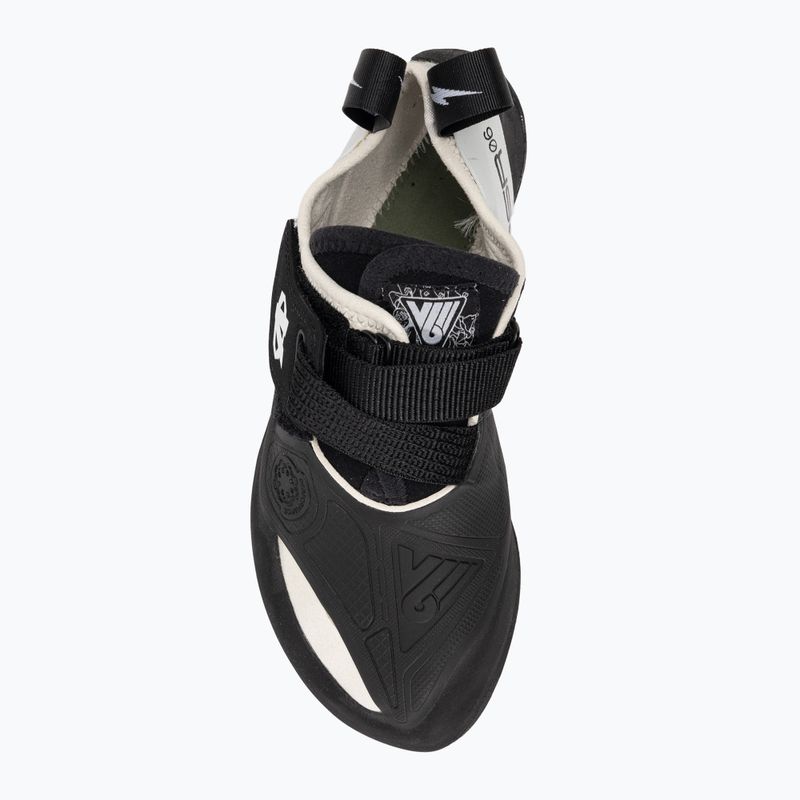 Climbing shoe Evolv V6 grey/black 5