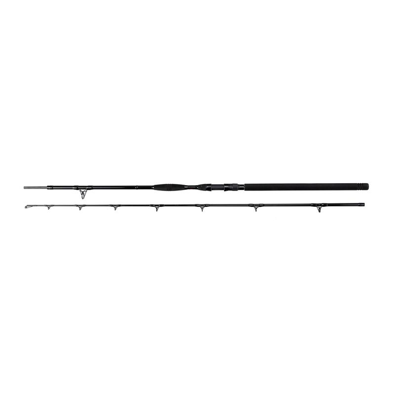 Delphin Symbol Cat 2 sec fishing rod black 160911525