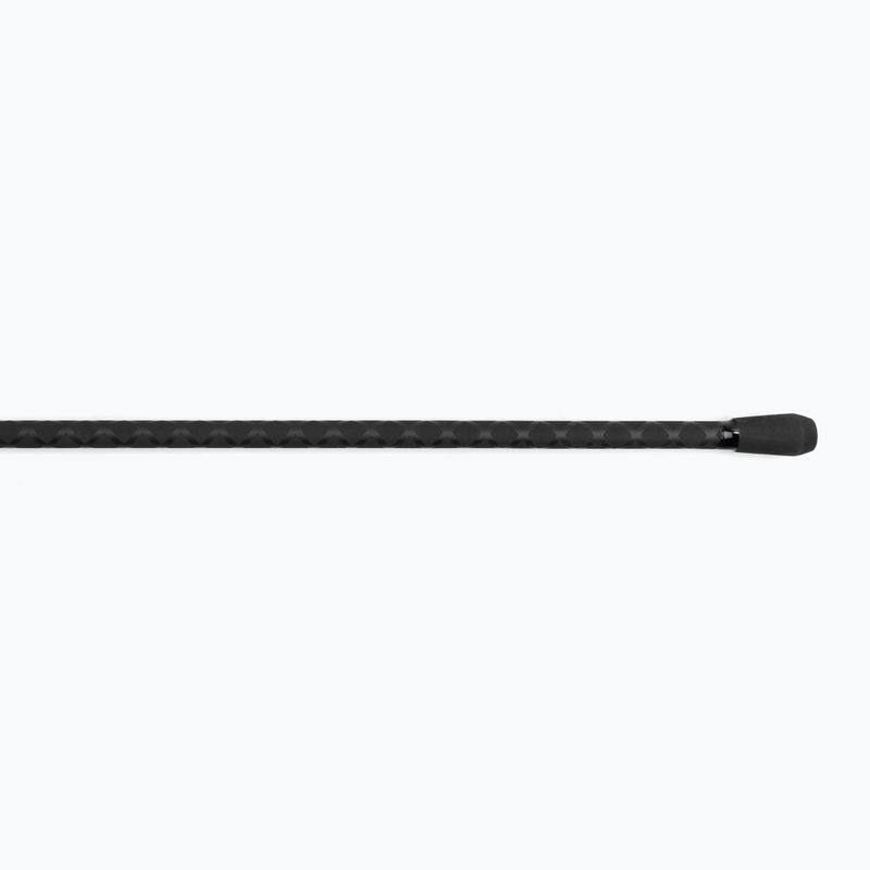 Delphin Partisan Carp 2 sec rod black 101001404 3