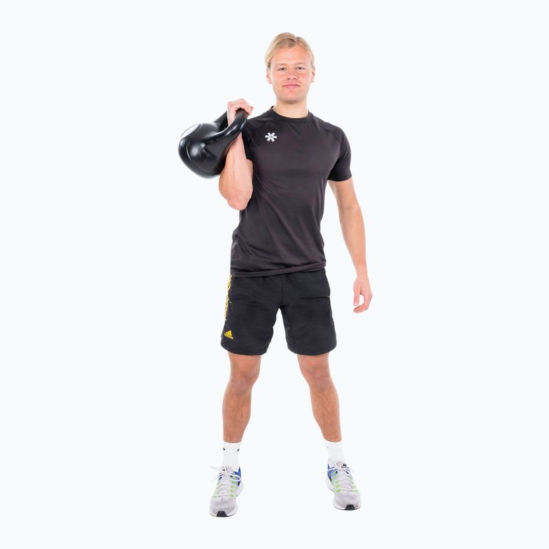 Kettlebell 10kg Pure2Improve black P2I202100 5