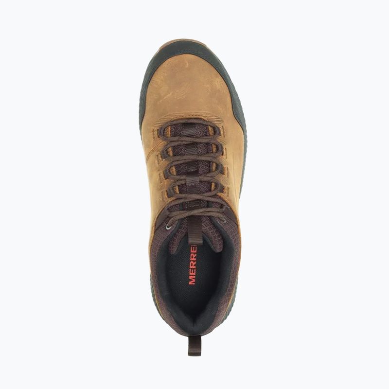 Men's trekking boots Merrell Forestbound tan 11