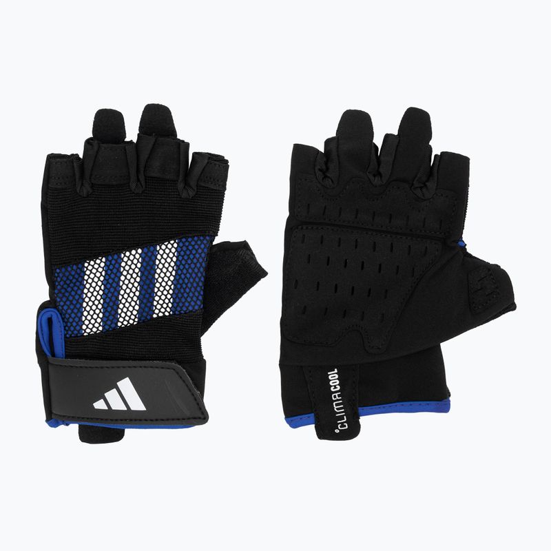 Training gloves adidas Performance Training Gloves blue