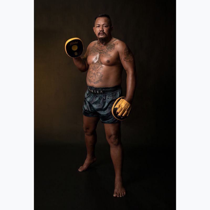 Fairtex Speed & Accuracy Focus Mitts black/golden training paws 4