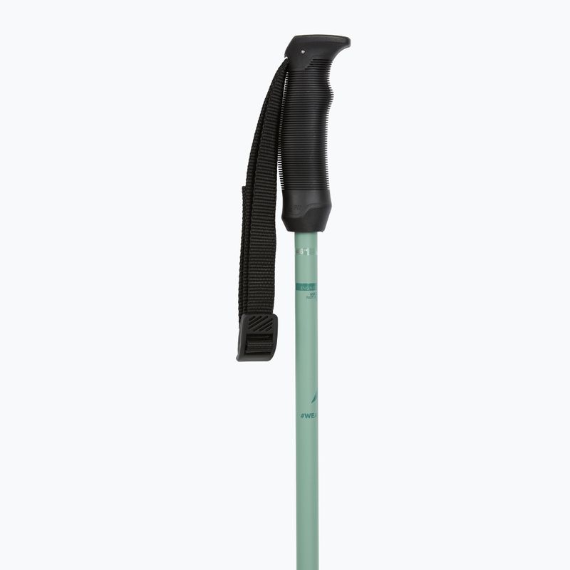 Atomic Cloud pistachio ski poles 2