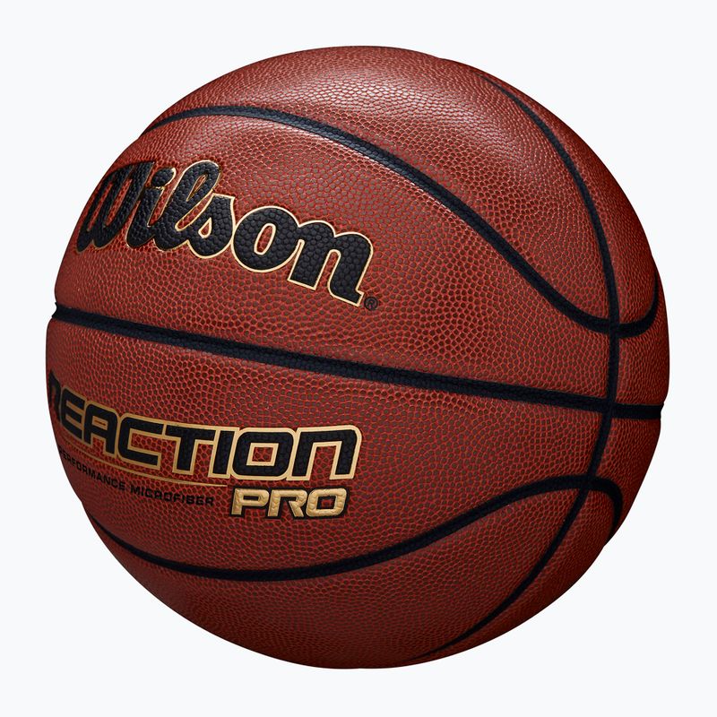 Wilson basketball 2