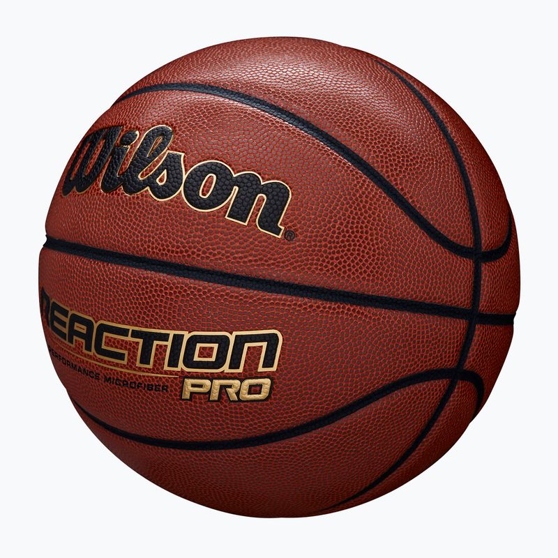 Wilson basketball 2
