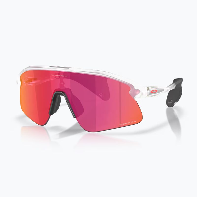 Sunglasses Oakley Stunt Devil matte clear/prizm field
