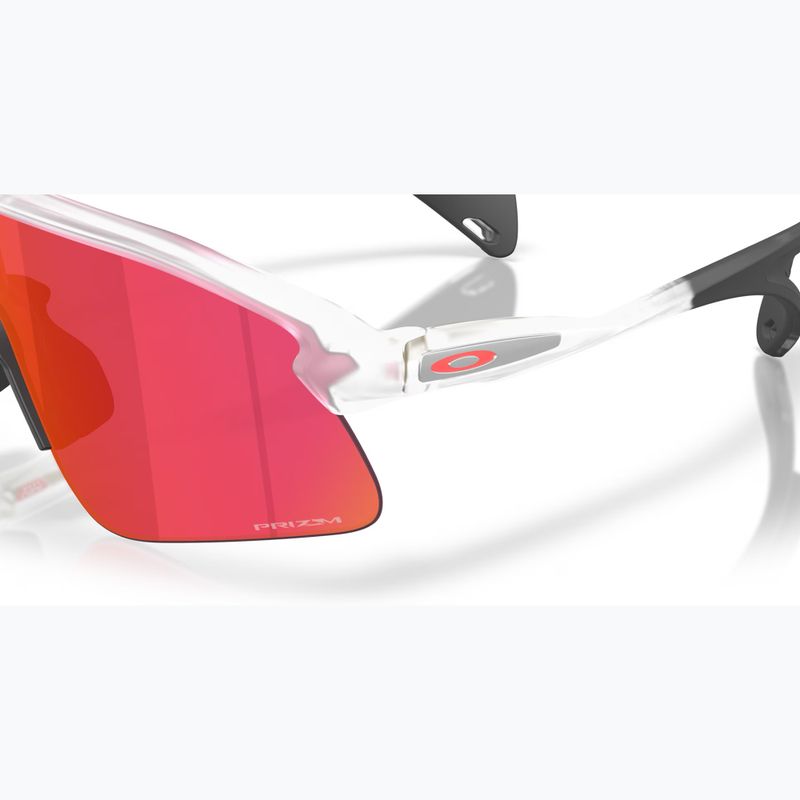 Sunglasses Oakley Stunt Devil matte clear/prizm field 6