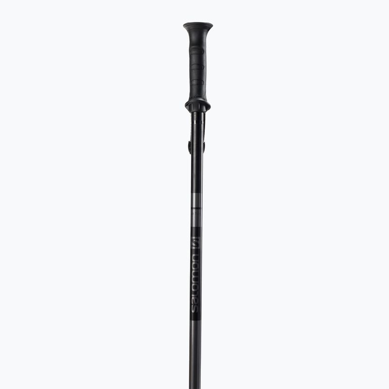Salomon Arctic ski poles black L40559000 2