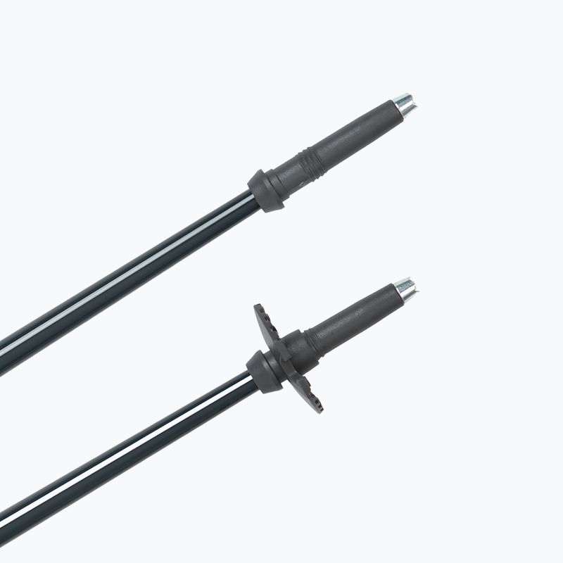 Ski poles Fischer RC4 Noize grey / blue 5