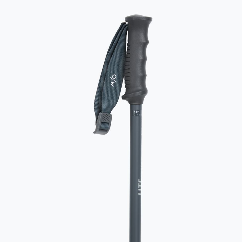 Ski poles Fischer Lite asphalt grey 2