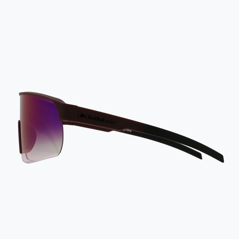 Sunglasses Red Bull SPECT Dakota soft touch mauve/gradient smoke red/purple mirror 5