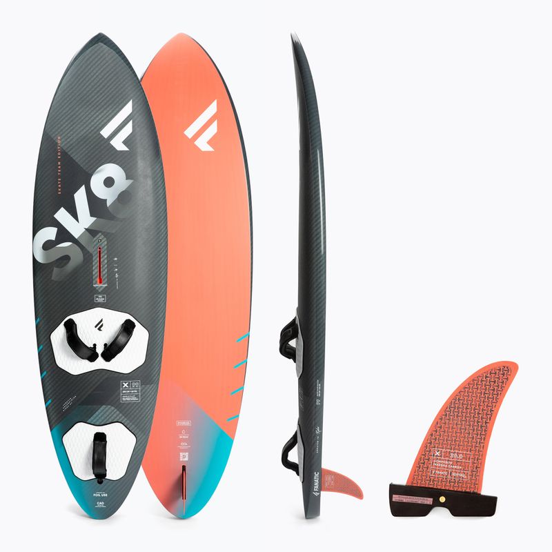 Fanatic Skate TE windsurfing board black 13220-1008