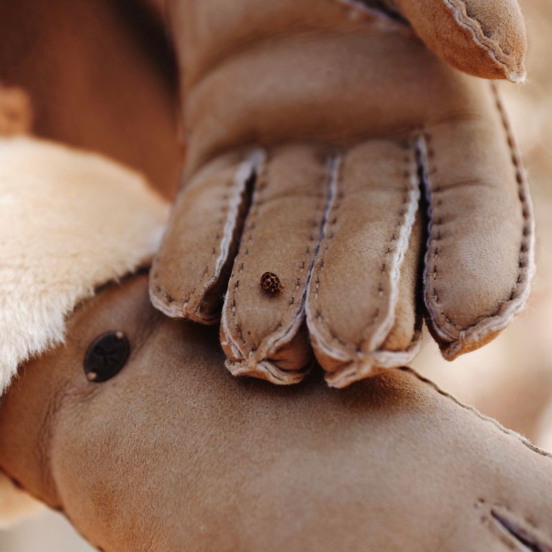 Women's gloves EMU Australia Apollo Bay chestnut 4