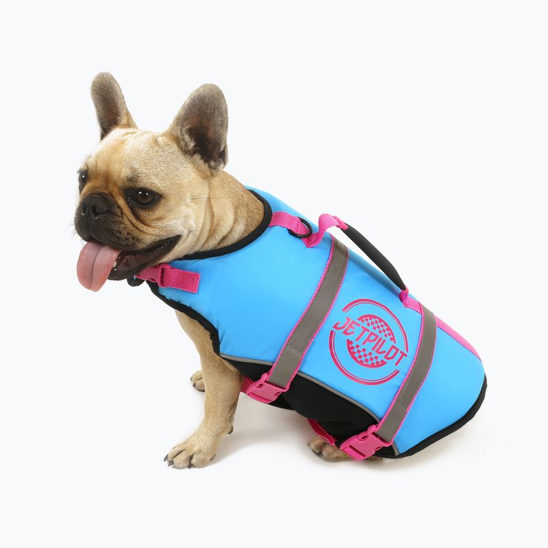 Jetpilot Dog Vest blue 1912904