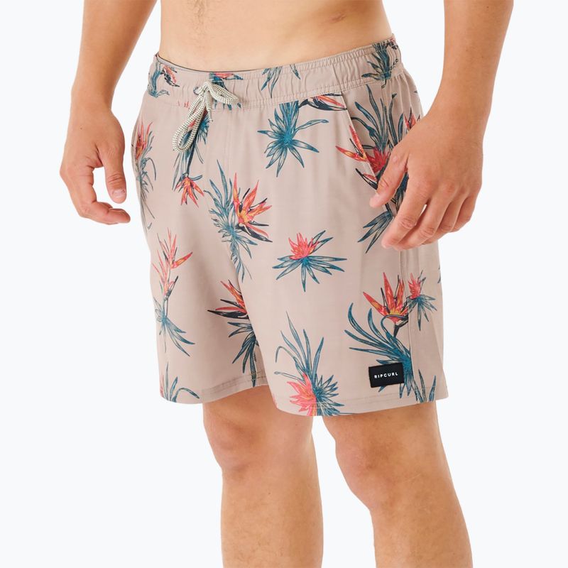 Rip Curl men's Paradiso Volley shorts 5067 beige 03DMBO 5