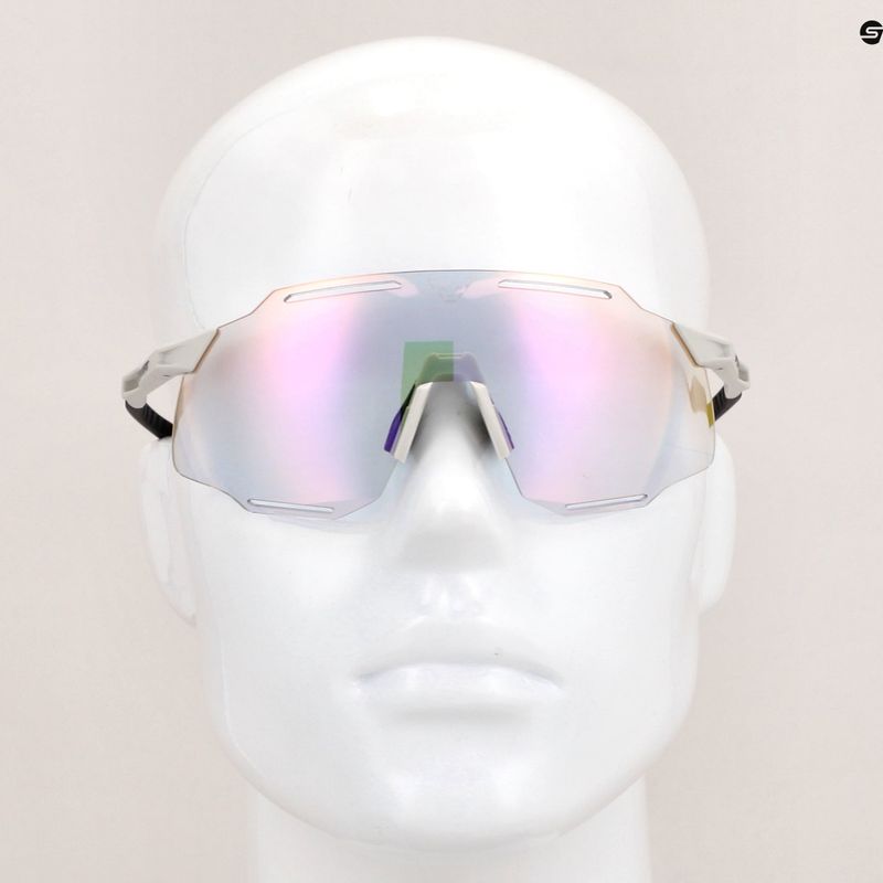 DYNAFIT Alpine Evo nimbus/black out sunglasses 7