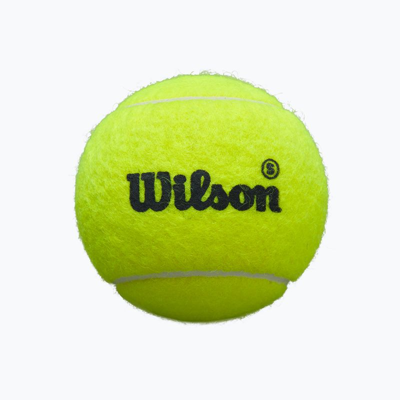 Padel balls Wilson Premier Padel Speed 3B 3 pcs. yellow 2