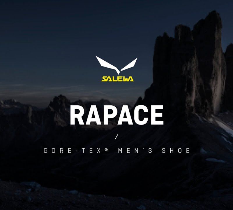 Salewa men's high-mountain boots Rapace GTX navy blue 00-0000061332 12