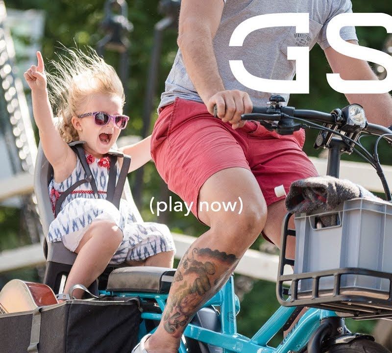 Electric bike Tern GSD S10 Cargo Lina purple 16