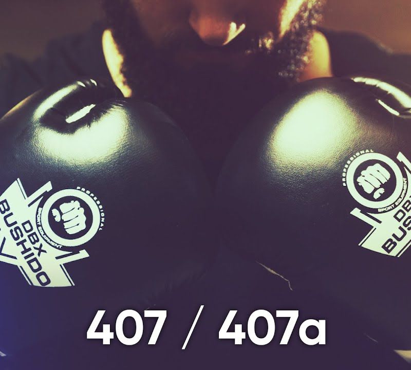 DBX BUSHIDO ARB-407 black/white boxing gloves 23