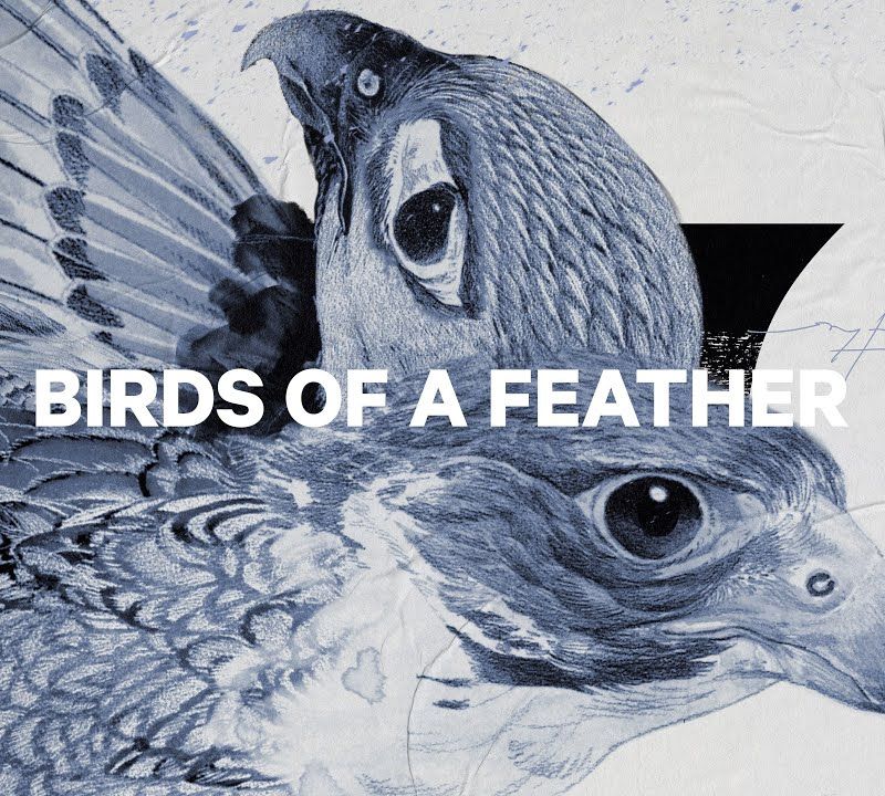 Women's snowboard CAPiTA Birds Of A Feather 1221107 12
