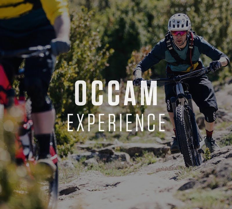 Orbea Occam H10 2023 dark green/lime green mountain bike 3
