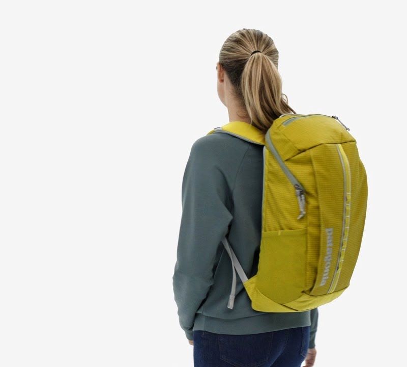 Patagonia Black Hole Pack 25 l shrub green hiking backpack 7