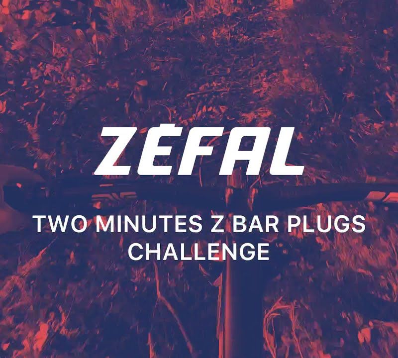 Zefal Z Bar Plugs Tubeless Repair Kit 9