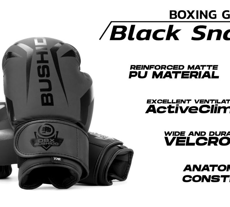 DBX BUSHIDO 'Raptor' boxing gloves black 12