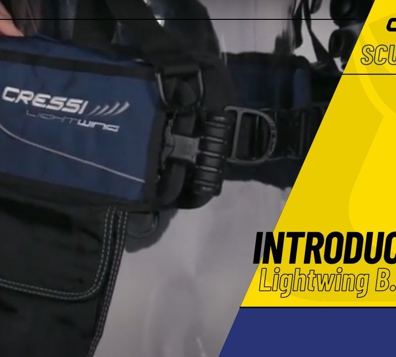Cressi Lightwing diving jacket blue IC773001 11