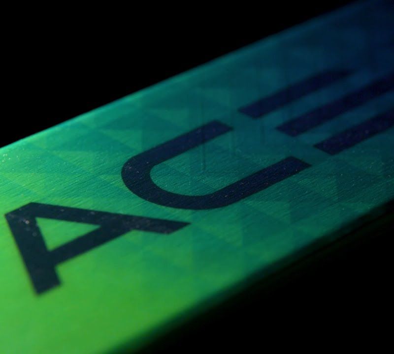 Elan Ace SCX Fusion + EMX 12 downhill skis green-blue AAJHRC21 15