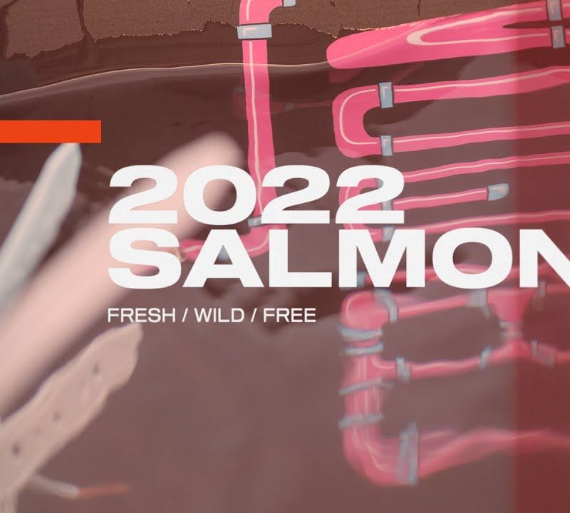Slingshot Salmon pink wakeboard 9