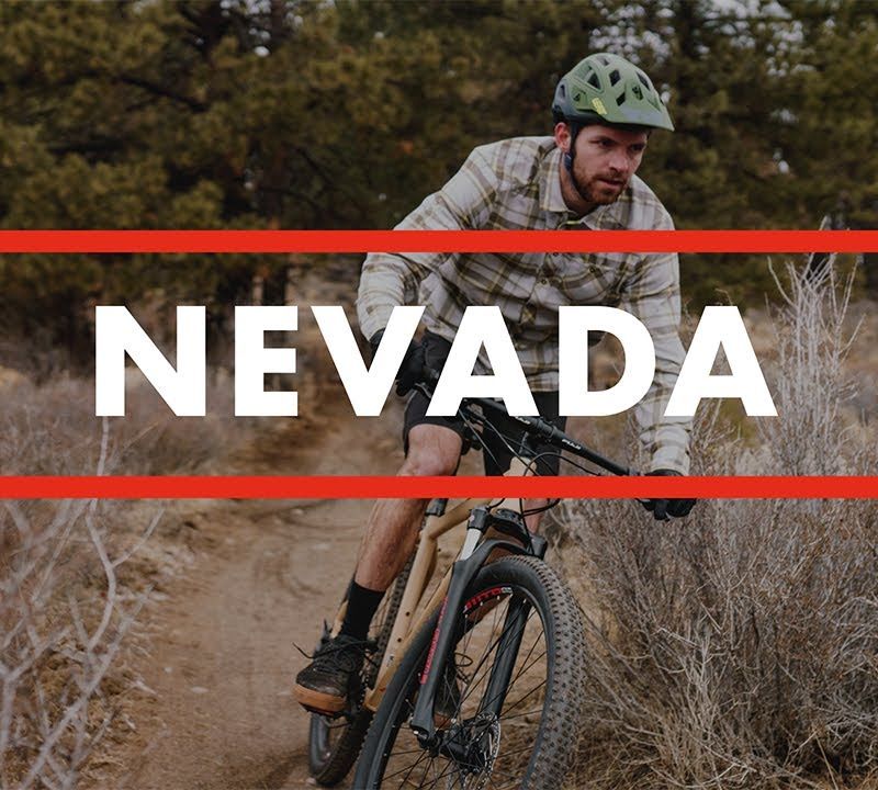 Fuji Nevada 29 1.3 satin silver mountain bike 5