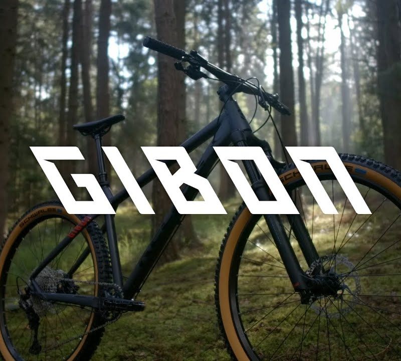 Kellys Gibon 10 29" mountain bike blue 16