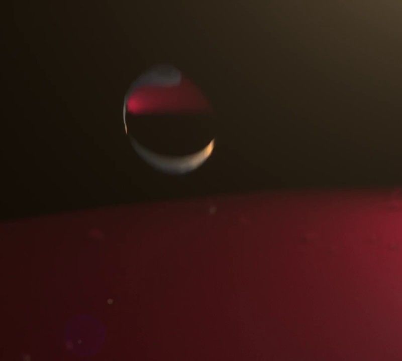 Women's Helly Hansen Crew Hooded jacket navy blue 33899_598 4