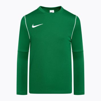 Nike Dri-FIT Park 20 Crew pine green/white children's football sweatshirt
