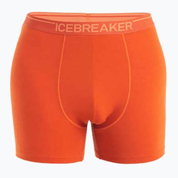 Men's thermal boxer shorts icebreaker Anatomica molten