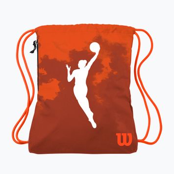 Wilson WNBA Fire Basketball brown bag