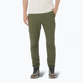 Men's Salomon Wayfarer Ease grape leaf trekking trousers