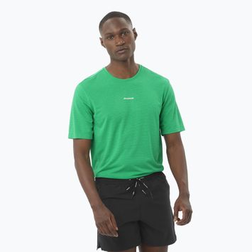 Men's running T-shirt Salomon SHAKEout Core parakeet