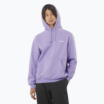 Men's sweatshirt Salomon Logo Hoodie violet tulip