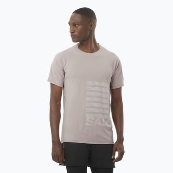 Men's running T-shirt  Salomon Sense Aero Tee GFX etherea/white